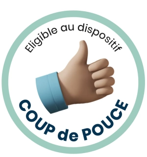 coup de pouce thermostat connecte